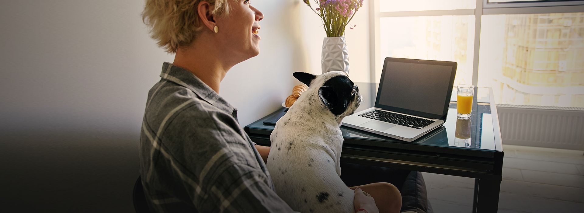 young freelancer female working distantly from home by using portable computer sitting at table next to window and holding her dog being in nice mood