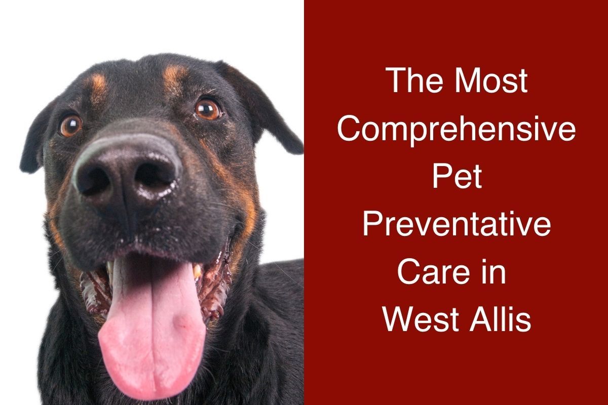 The Most Comprehensive Pet Preventative Care in West Allis