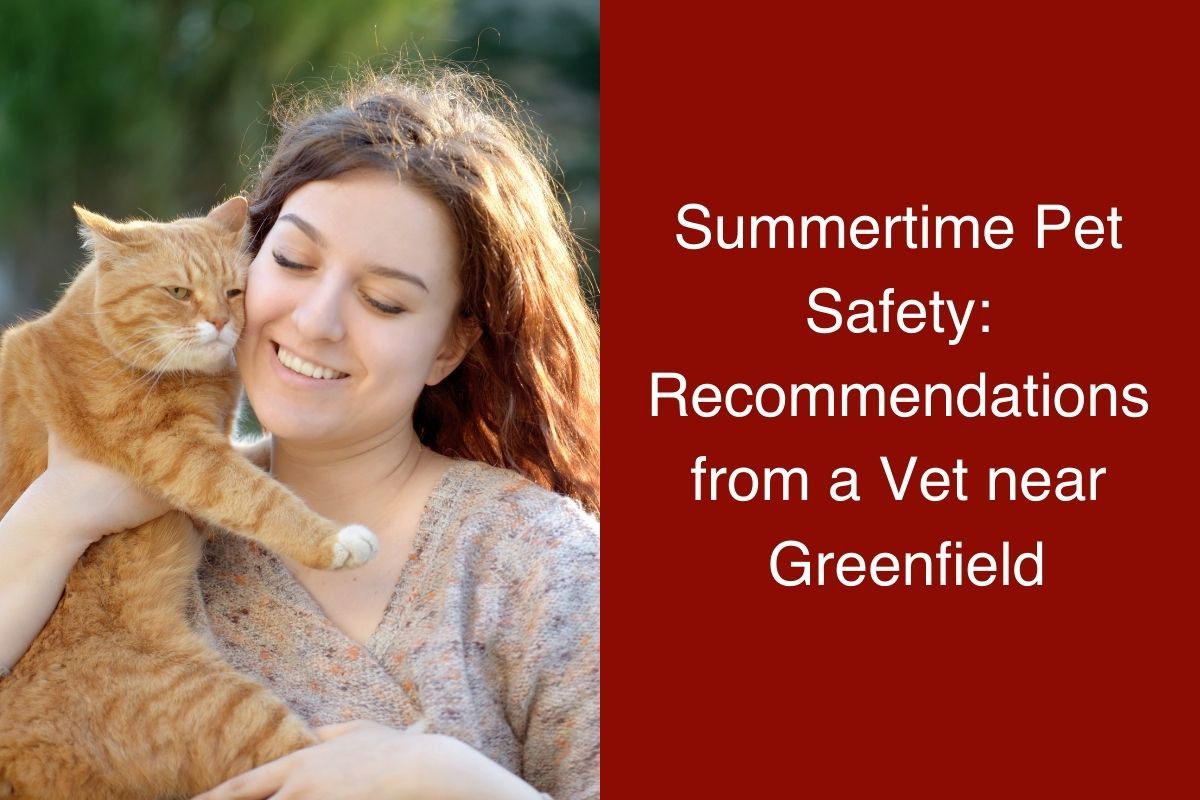 Summertime-Pet-Safety-Recommendations-from-a-Vet-near-Greenfield