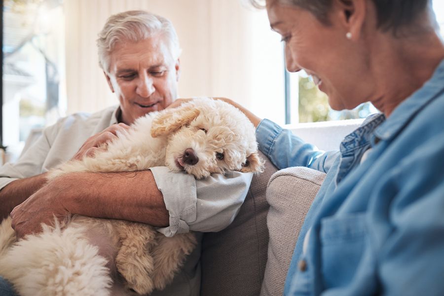 Elderly pension people on couch together with adopted animal pet friend for loyalty