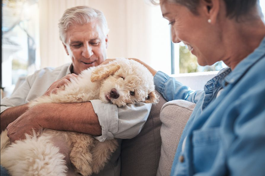 Senior couple smiling and cuddling a fluffy white dog on a sofa.