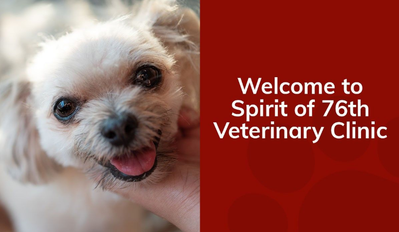 Close-up of a smiling small white dog being petted, with a veterinary clinic welcome text.