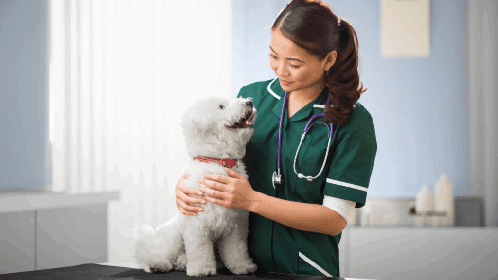 Veterinarian in scrubs smiling at a joyful white dog on an examination table.
