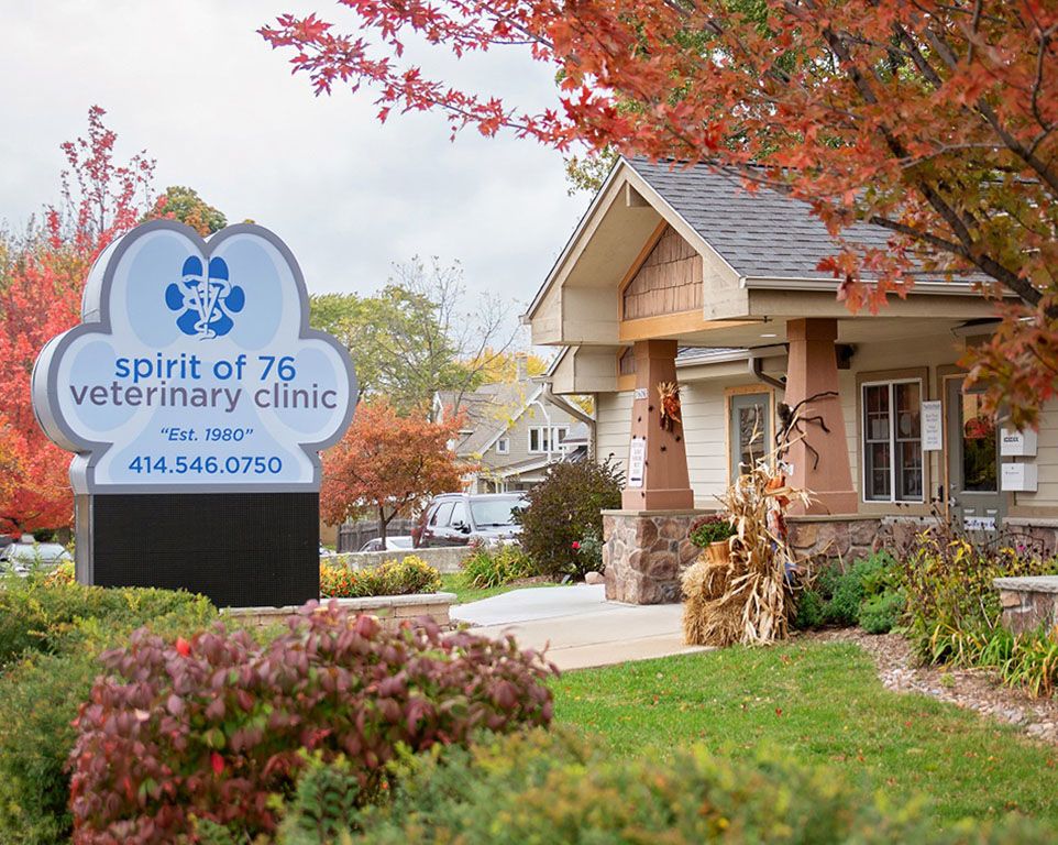 Veterinary clinic entrance surrounded by autumn foliage with a prominent sign out front.