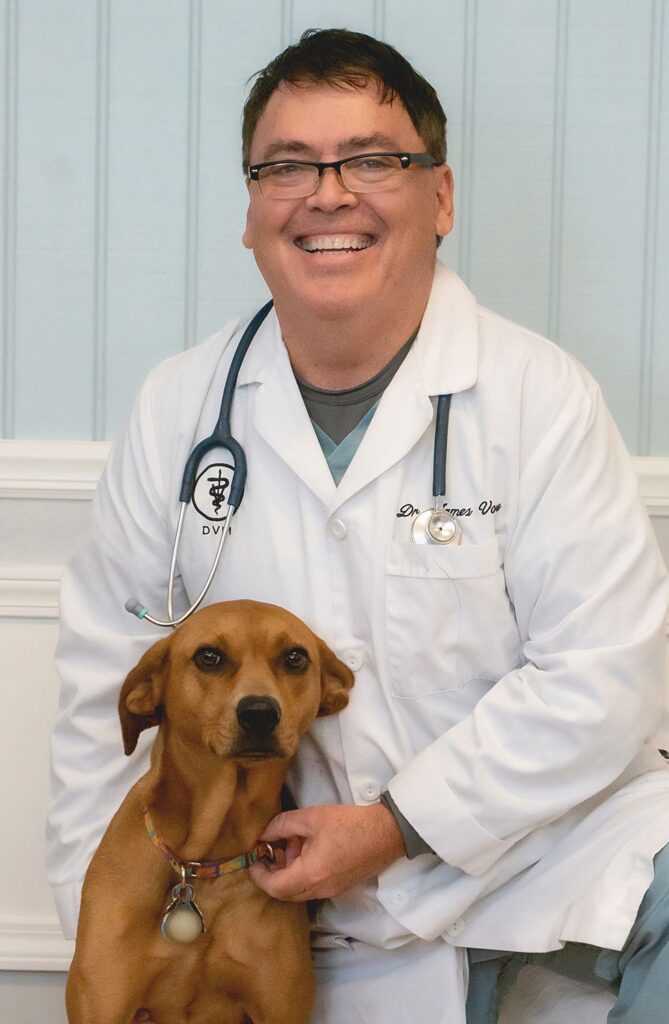 Veterinarian smiling with a brown dog in his lap, both in front of a blue panel wall.