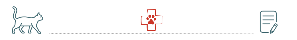 pet insurance healthy pets Spirit of 76th Veterinary Clinic West Allis WI dogs cats rabbits