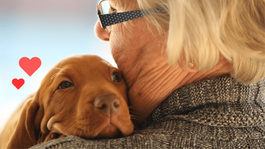 New dog bonding with an owner with support from Spirit of 76th Veterinary Clinic